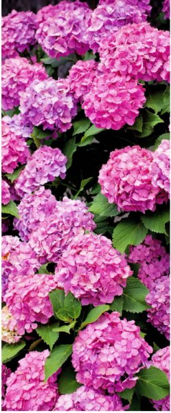 Banner Rianne 180 cm