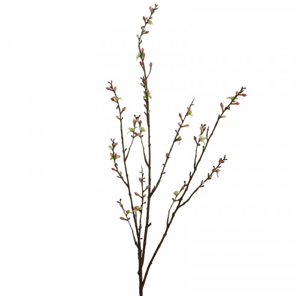 Kirschblütenknospen Zweig pfi-pi L115cm