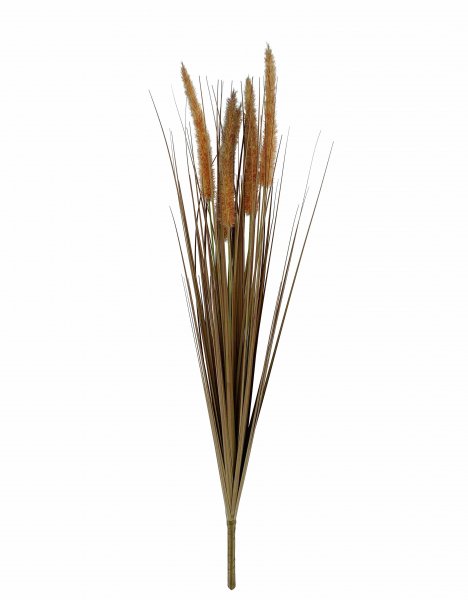 Fuchsschwanzgras-Busch 76 cm