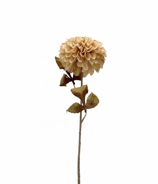 Dahlie 74 cm