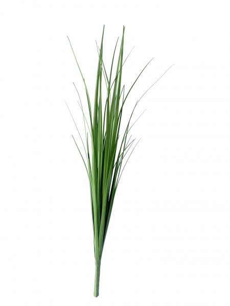 Gras 58 cm