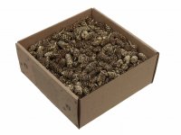 Birkenkiefer Zapfen 250 g Birkenkiefer Zapfen 250 g