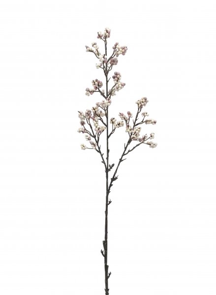 Beerenzweig 75 cm