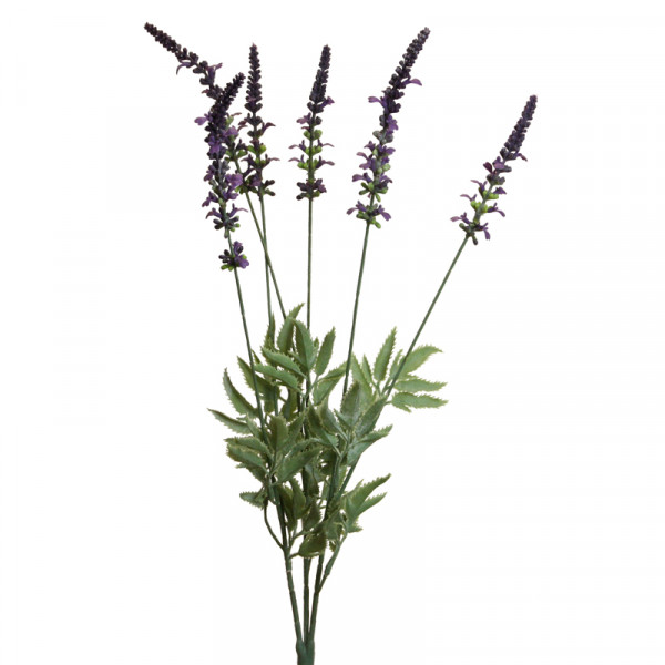 Lavendel-Busch 52 cm