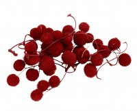 Platanbälle 210 gr Platanbälle 210 gr