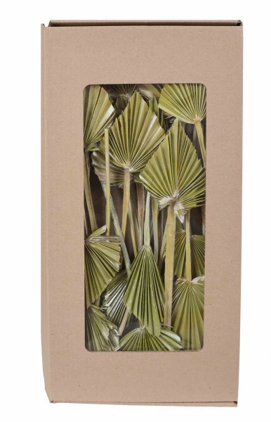 Palmspeer mini indisch VE 25 St