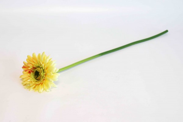 Mini Gerbera Stiel gelb 61cm