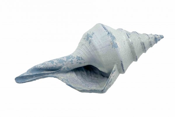 Dekomuschel lang 44,5 cm
