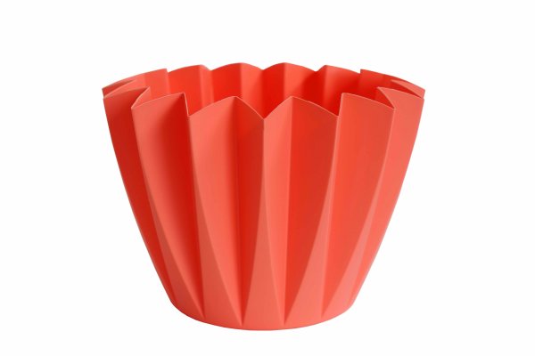 Topf Adonis rund Ø 14 cm VE 20 St