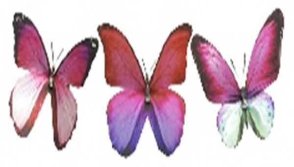 Poly Schmetterling metallig-rosa 8cm in Box (6)