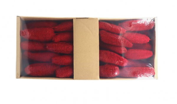 Luffa am Stab VE 25 St