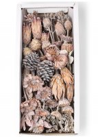 Exoten Sortiment A VE 25 St Exoten Sortiment A VE 25 St