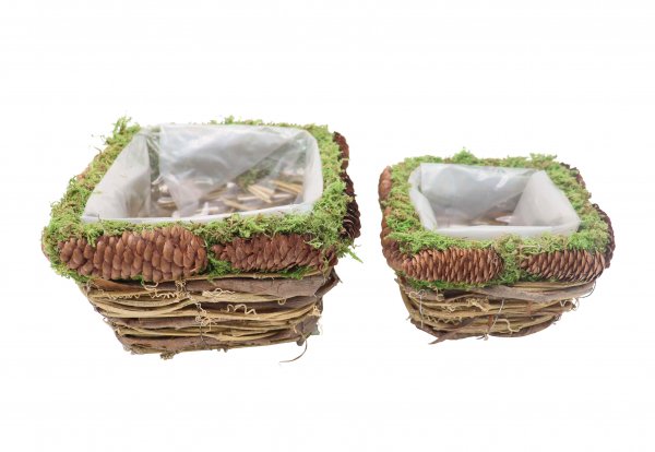 Pflanzkorb eckig mit Zapfendekor 16/21 cm 2er Set