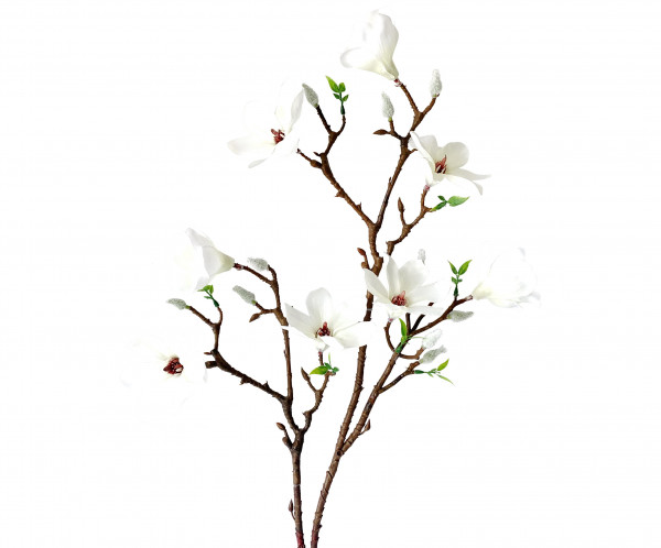 Magnolie mini Stil wß L 89 cm