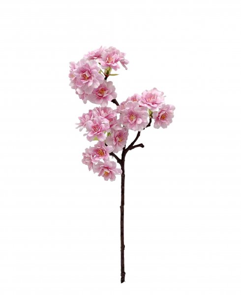 Kirschblüte 42 cm