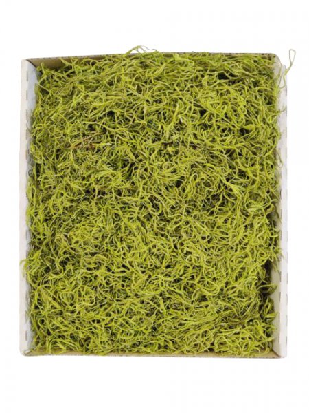 Dschungelmoos 500 g