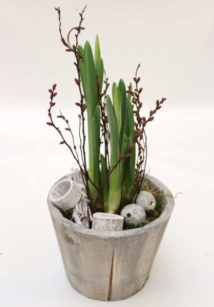 Holztopf mit Nazisse natur-gelb Ø14cm H30cm -frisch-