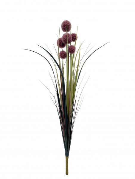 Pompongras-Busch 83 cm