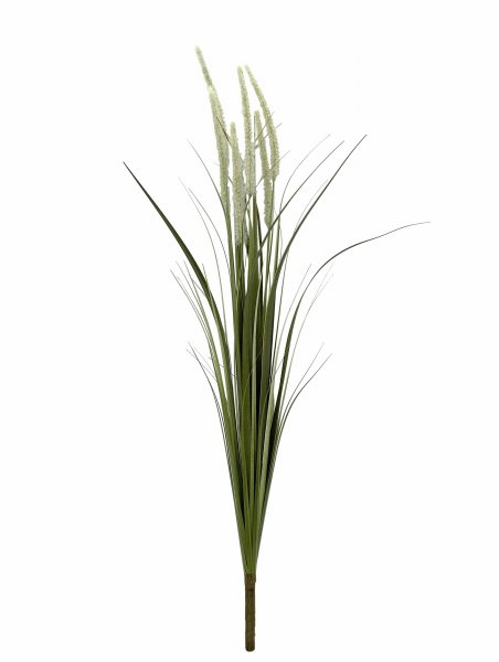 Fuchsschwanzz-Busch 89 cm