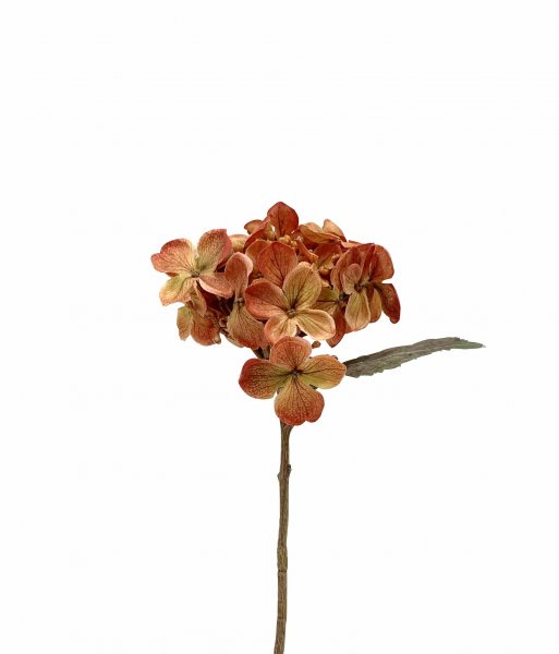 Hortensie 46 cm