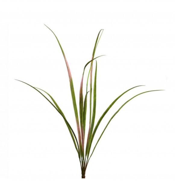 Gras-Busch