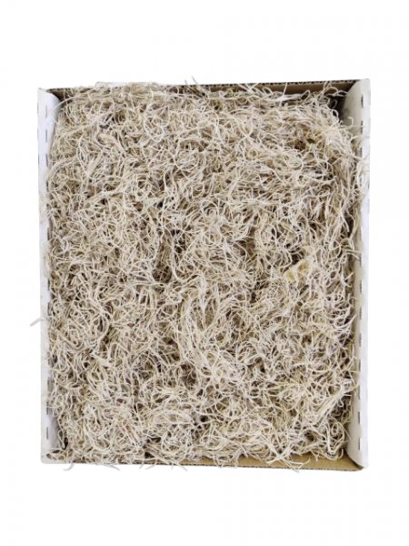 Dschungelmoos 500 g