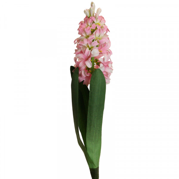 Hyazinthe 44 cm