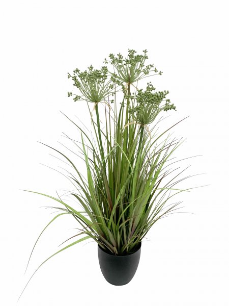 Angelica-Gras getopft 91 cm