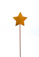 Sternstecker rost VE 6 St Sternstecker rost VE 6 St