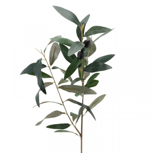 Olivenzweig 77 cm