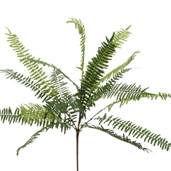 Farn-Bund 45 cm