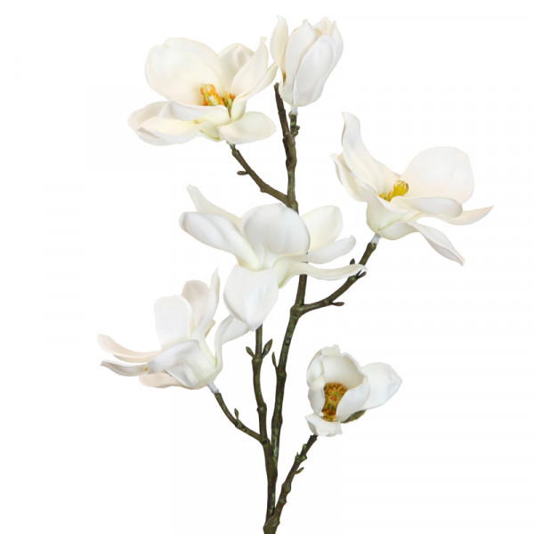 Magnolienast 66 cm
