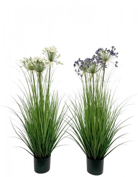 Allium-Gras getopft 2-farbig sortiert 109 cm