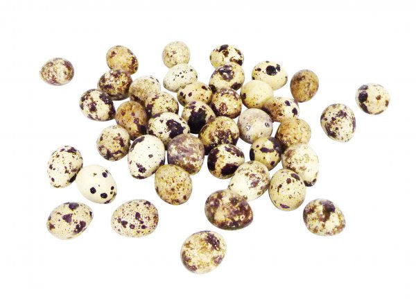 Wachteleier VE 60 St