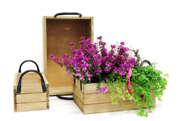 Pflanzkistenset natur L30cm B19cm H6cm S/3