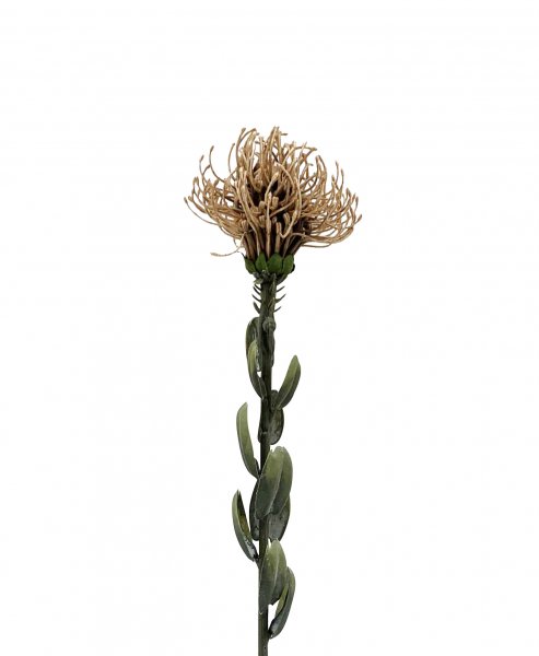 Nadelkissen 61 cm