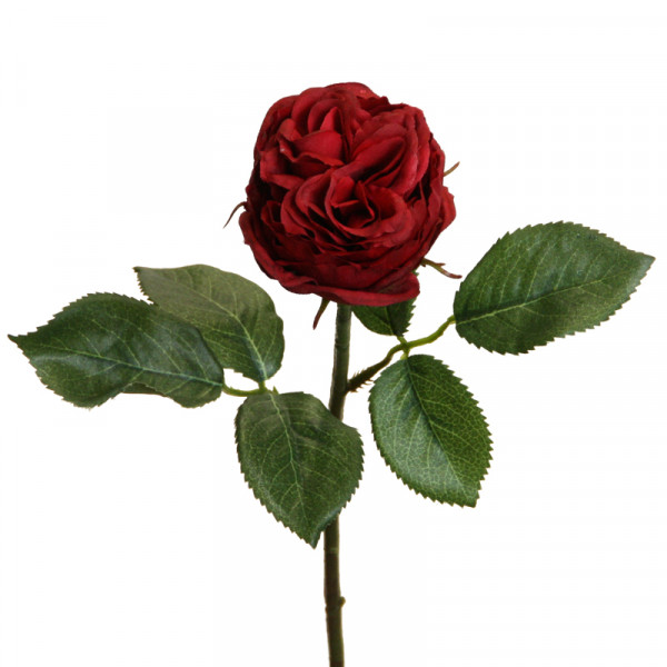 Englisch Rose 37 cm