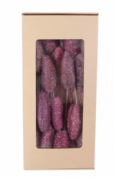 Luffa am Stab VE 25 St