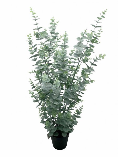 Eukalyptus getopft 112 cm