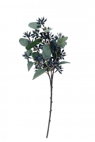 Eukalyptuszweig mit Früchte 51 cm