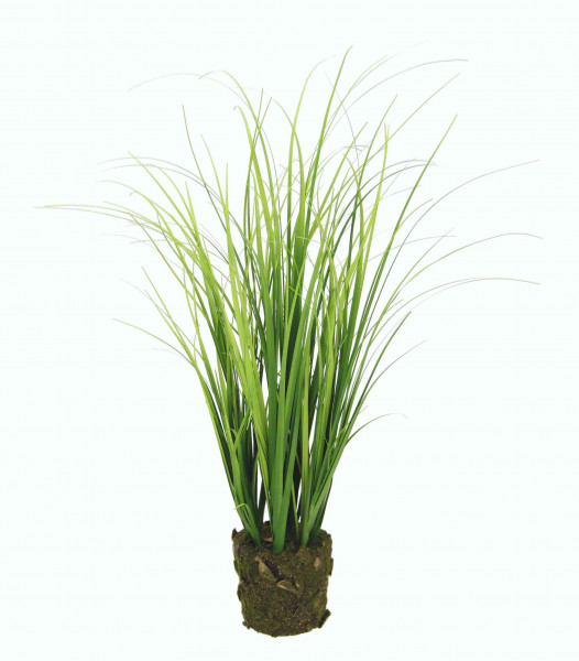 Gras-Bund mit Erdballen 48 cm