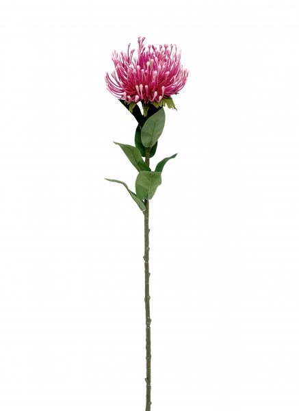 Nadelkissen 73 cm