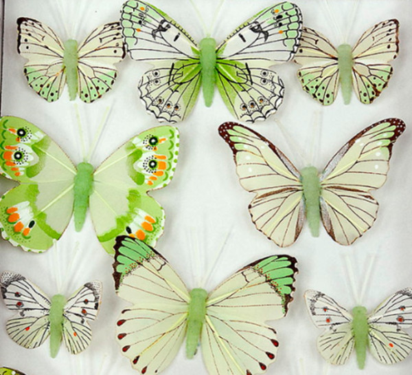 Feder Schmetterling VE 10 St