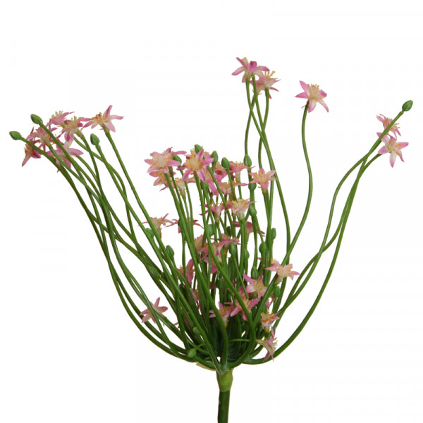 Allium 76 cm