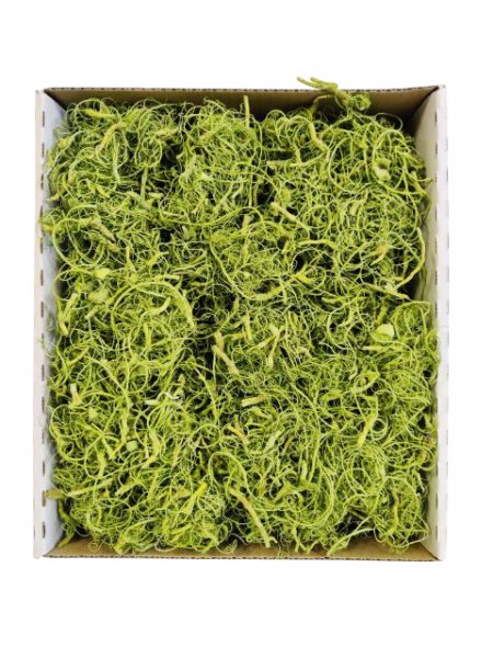 Curly Moos 500 g
