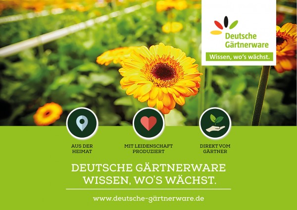 18/1 Plakat - 356x252cm - Deutsche Gärtnerware