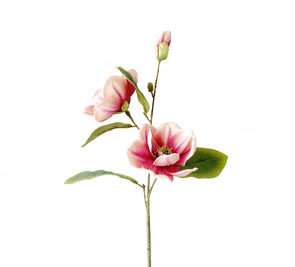 Magnolie Stil h.rs L 72,5 cm