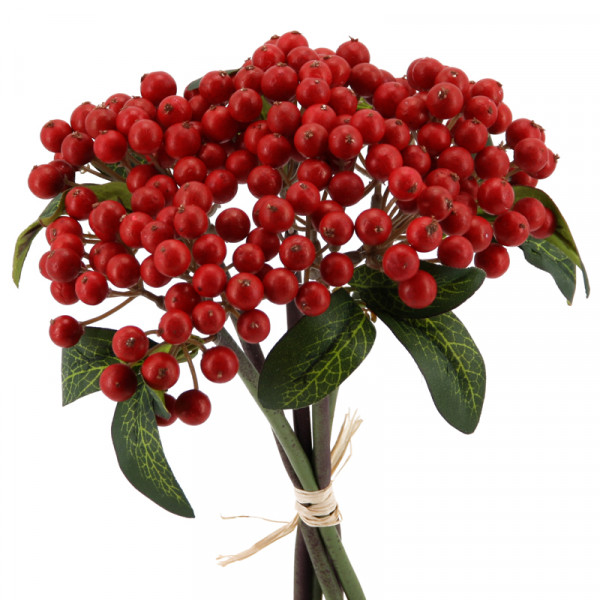 Beeren-Bund mit 5 Stiele 30 cm