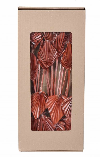 Palmspeer mini indisch VE 25 St