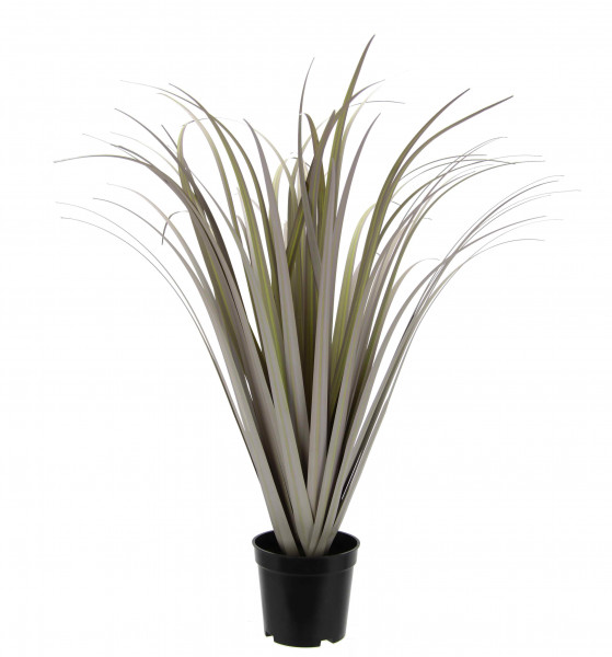 Gras-Busch
